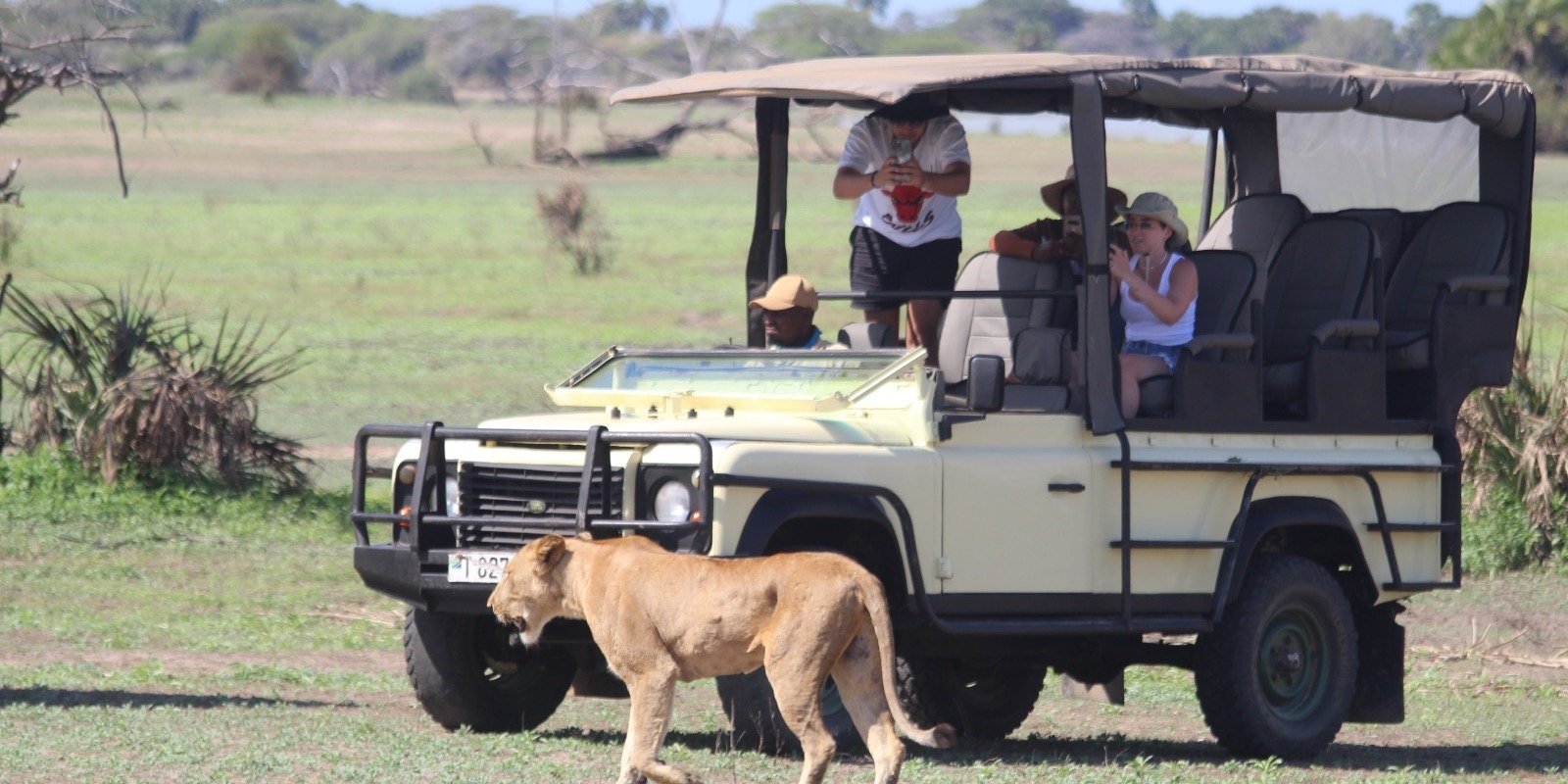 mikumi-national-park-sarafu travel