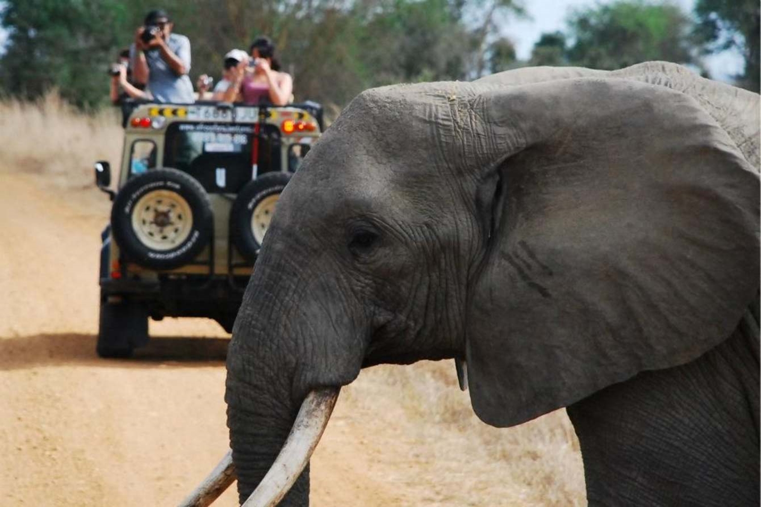 mikumi-safari-zanzibar