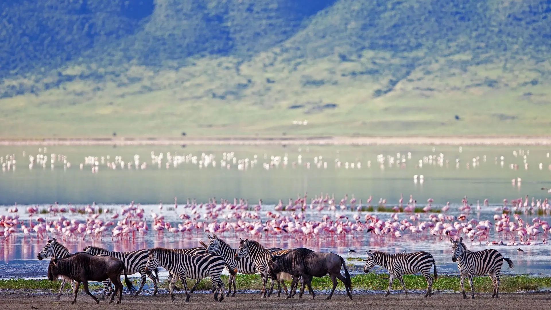 Ngorongoro 분화구