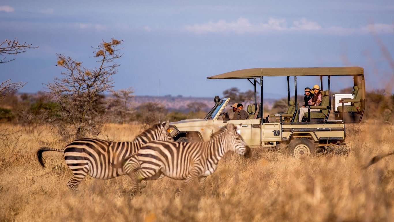 nyerere-national-park-zebra and safari car