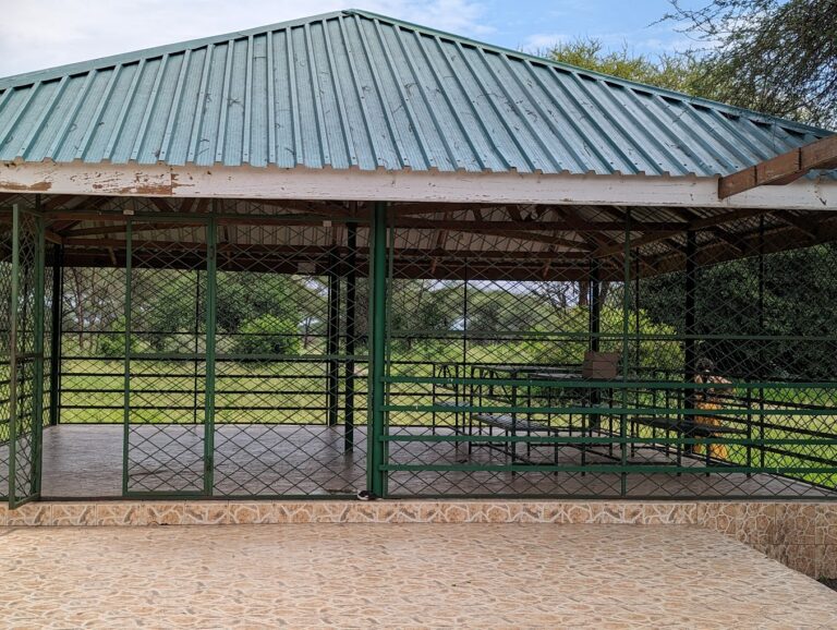 public campsite tarangire national park