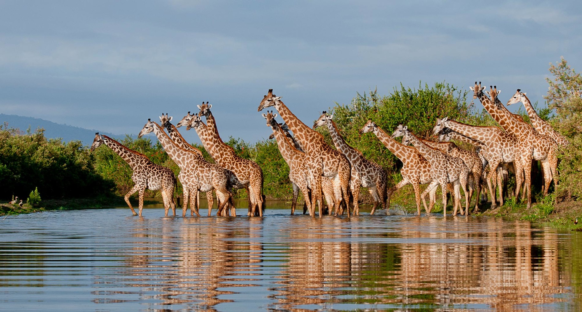 selous_National_Park_Nyerere_National_Park_Tanzania_Safari