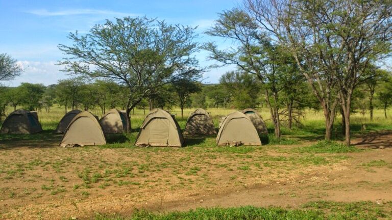 seronera-campsite