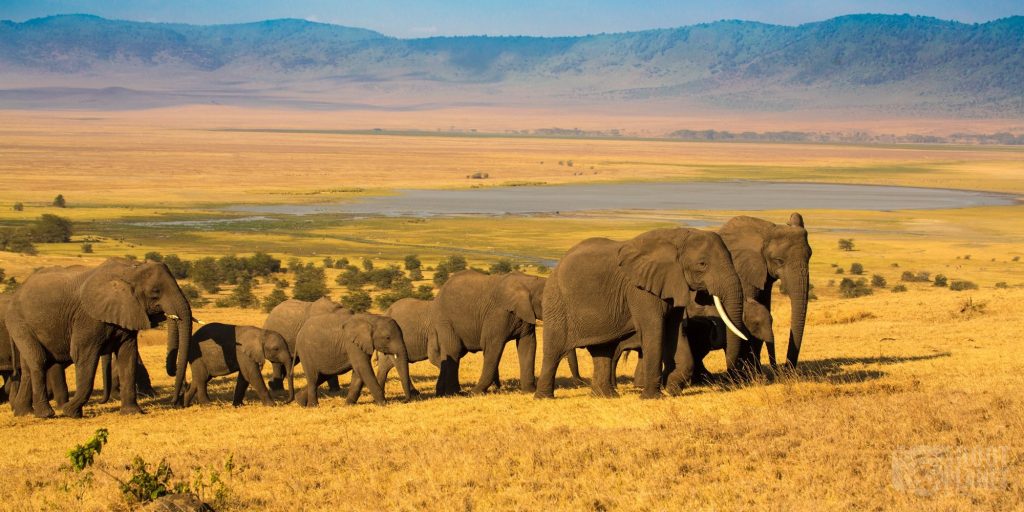 Into the Crater – Ngorongoro’s Hidden Wonders