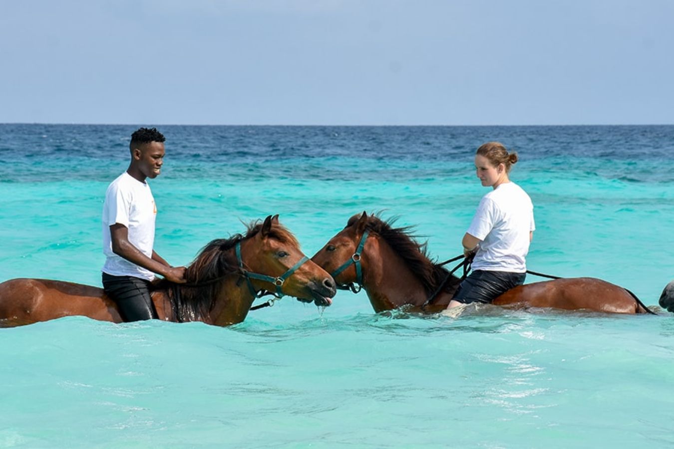 zanzibar horse club swimming with horses