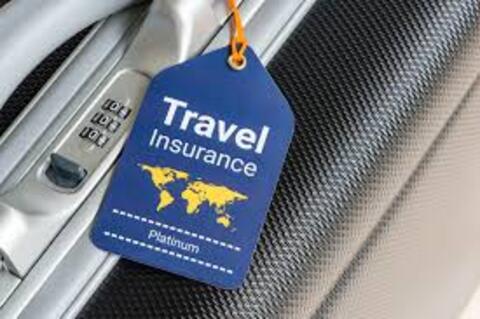 Travel Insurance for Tanzania Safari