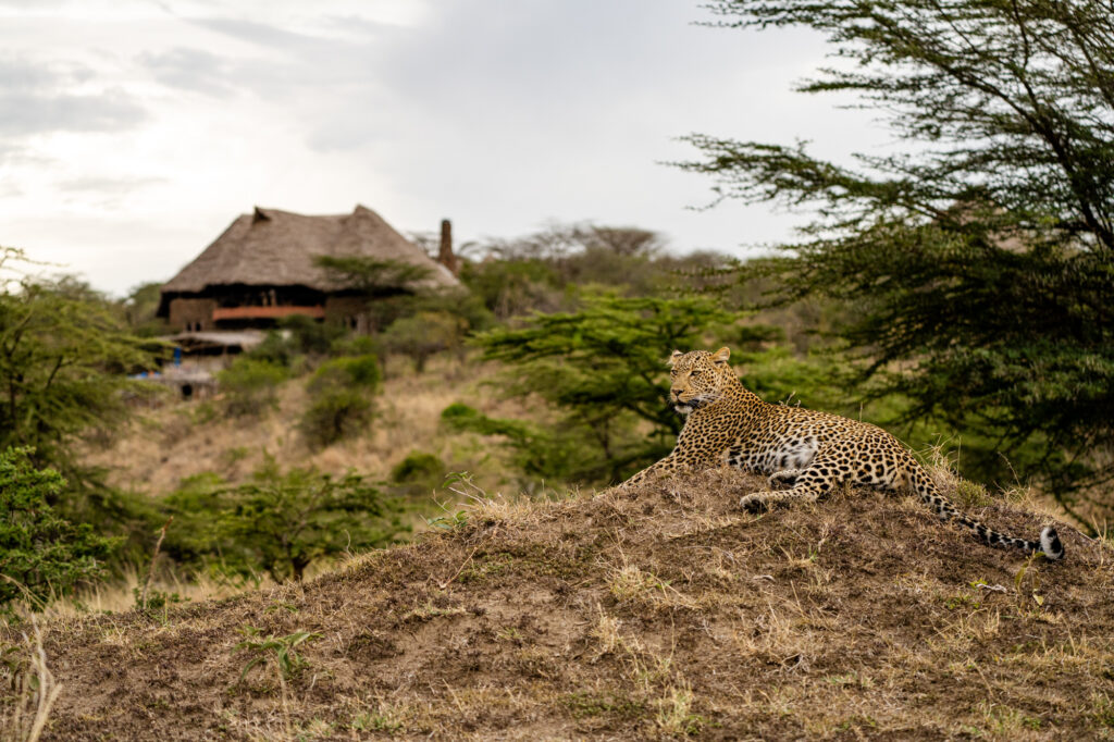 Amani Mara Camp