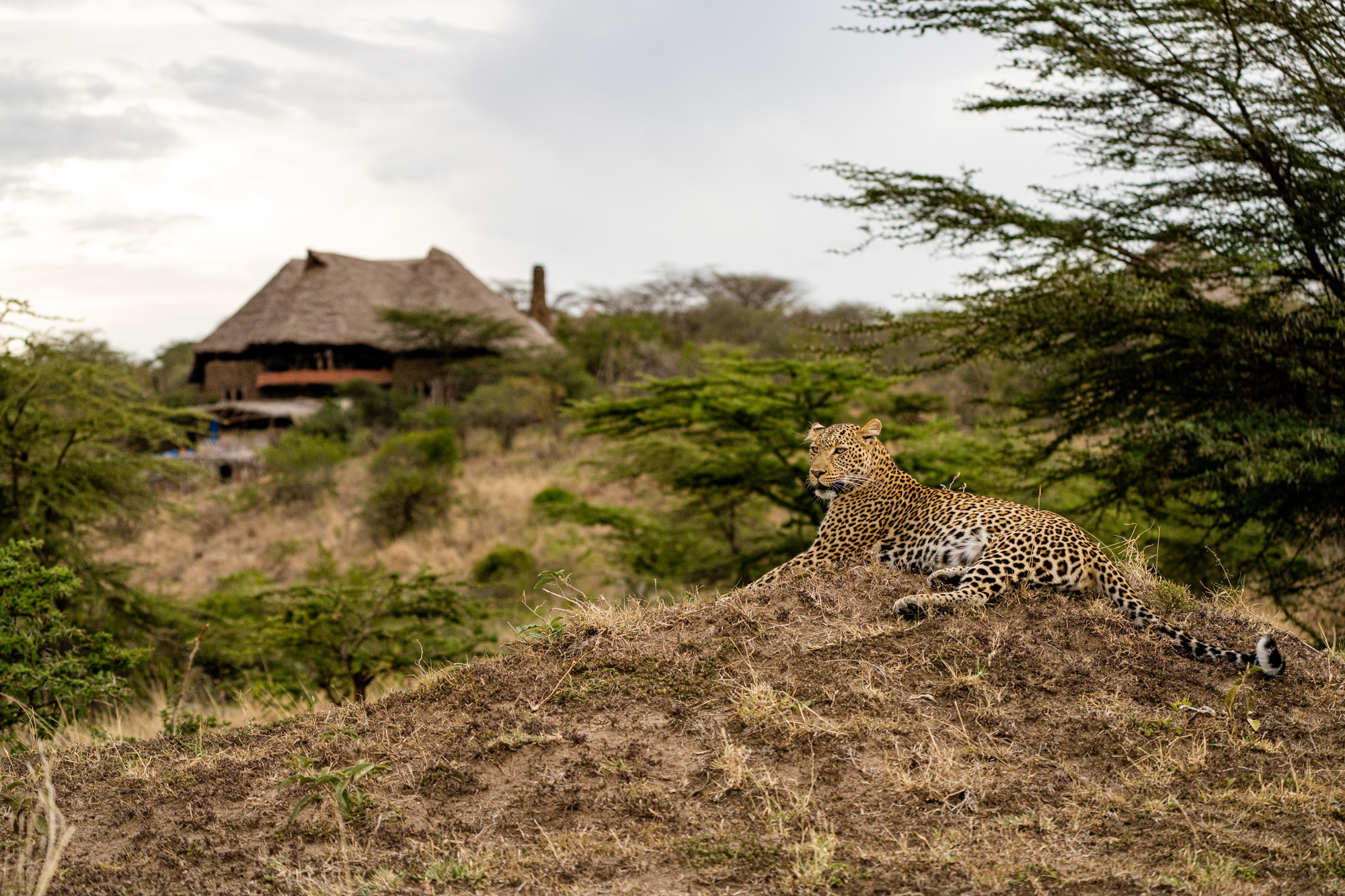 Amani Mara Camp