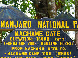 Machame three