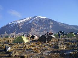 Moir Camp 1