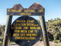 Mweka Camp 1
