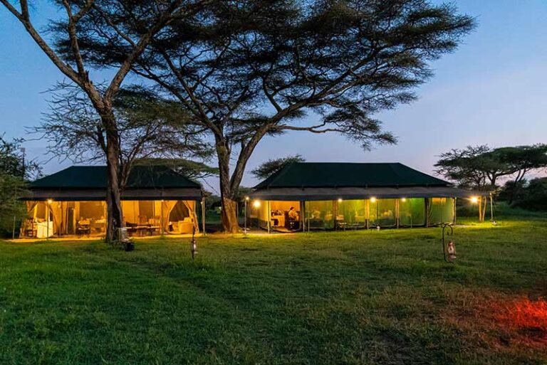 Ndutu Heritage Camp 2
