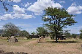 Nyani Campsite 1