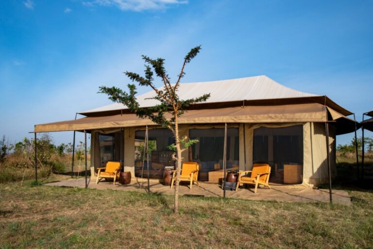 Nyikani Migration Tented Camp