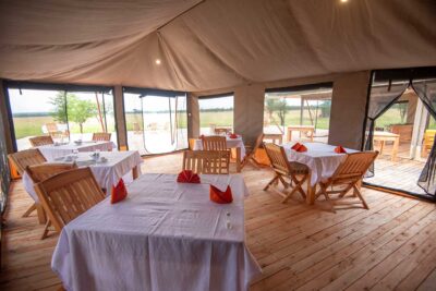 Serengeti Queens Lodge