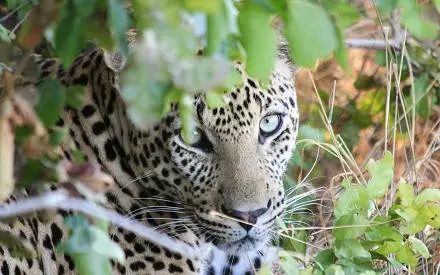 Tanzania 7 Day Great Migration Adventure