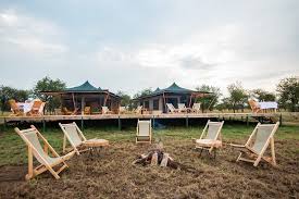 Serengeti Queens 1