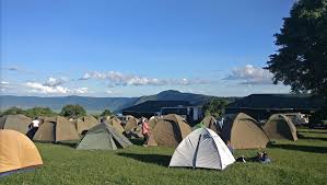 Simba Campsite 1