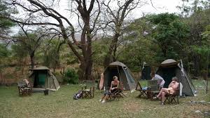 Simba Campsite 3
