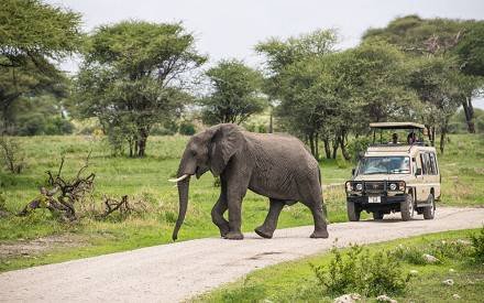 3-Day Fly-In Safari from Zanzibar Tarangire Crater Manyara