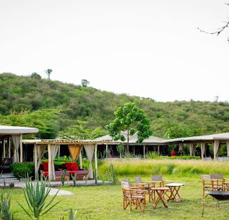 Zebra Mara Plains Camp