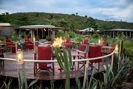 Zebra Plains Mara Camp 1