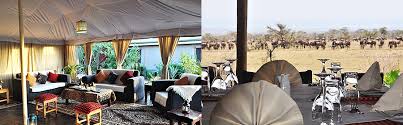 Zebra Plains Mara Camp 2