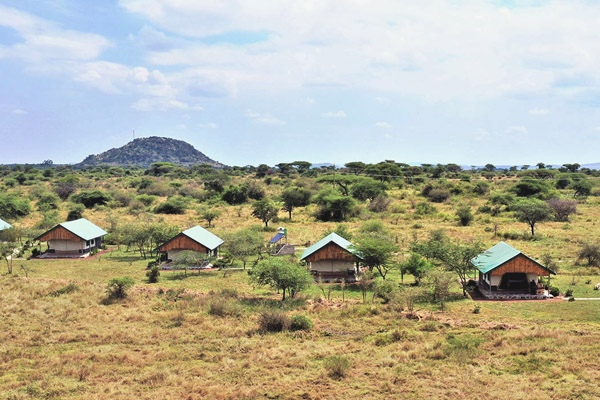 Africa safari lake natron