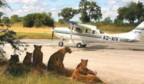 4-Day Fly-In Safari from Dar es Salaam – Serengeti