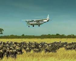 3-Day Fly-In Safari from Dar es Salaam to Serengeti
