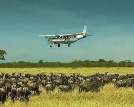 3-Day Dar es Salaam to Serengeti Fly-In Safari
