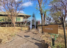 Ngorongoro Wild Camp