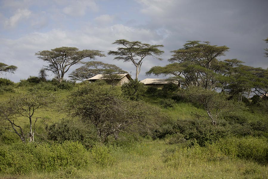 Nyikani Migration Tented Camp