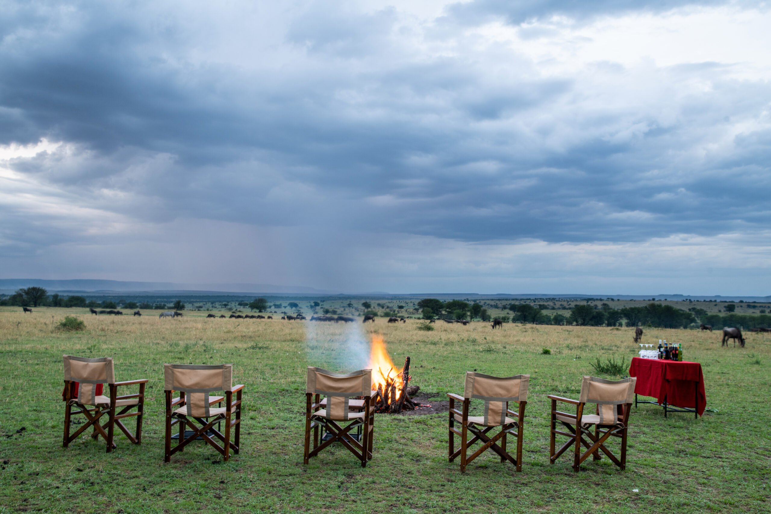 Manyara Kati Kati Lodge