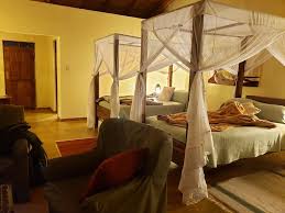Ngorongoro Farm House 2