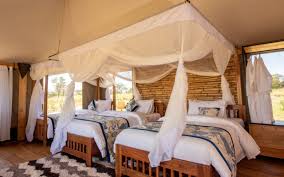Nyota Luxury Camp Serengeti