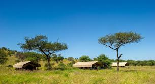 Tarangire Katikati 3
