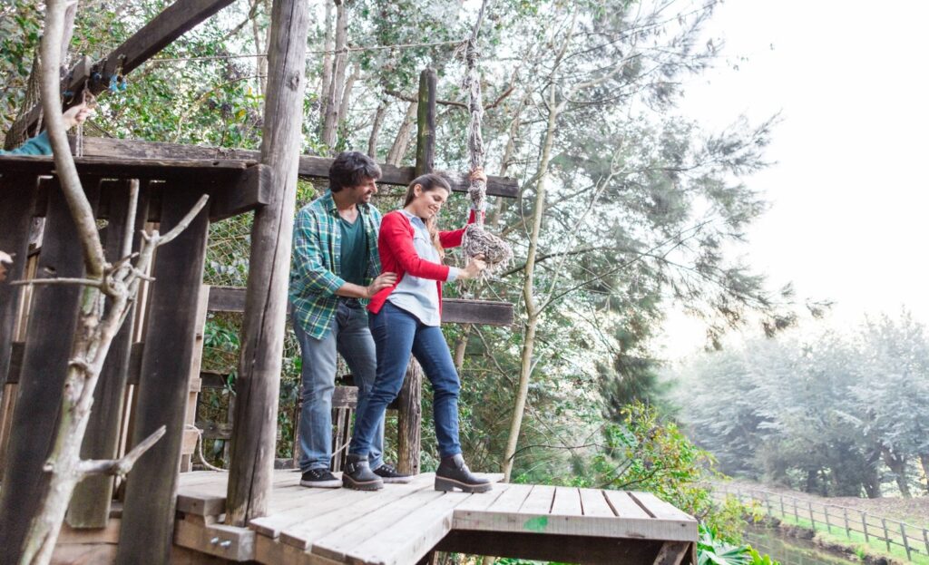 Serengeti Camps and Luxury Lodges