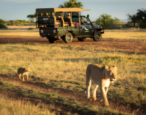 African Safari Tour Packages