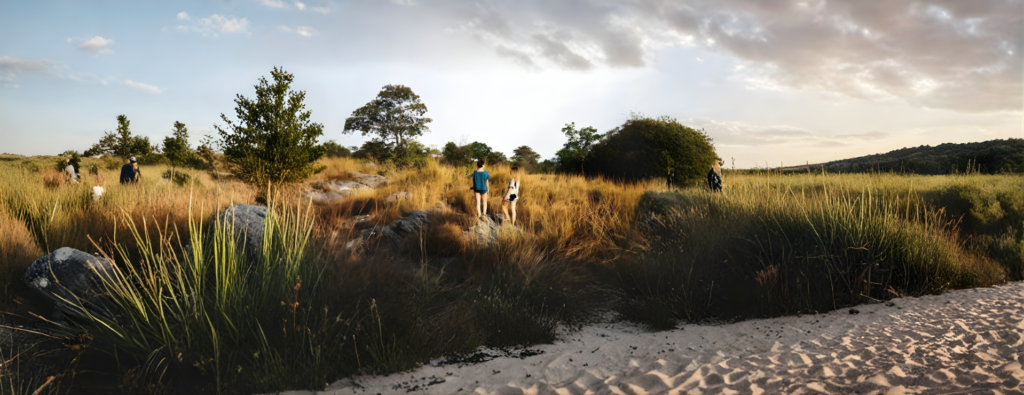 Best African Safari Tours for Couples