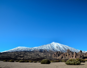 Best Kilimanjaro Tour Companies