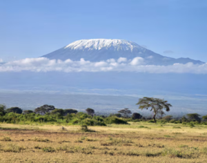 Best Kilimanjaro Tour Companies
