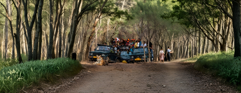 Is Tanzania Safe for Tourists