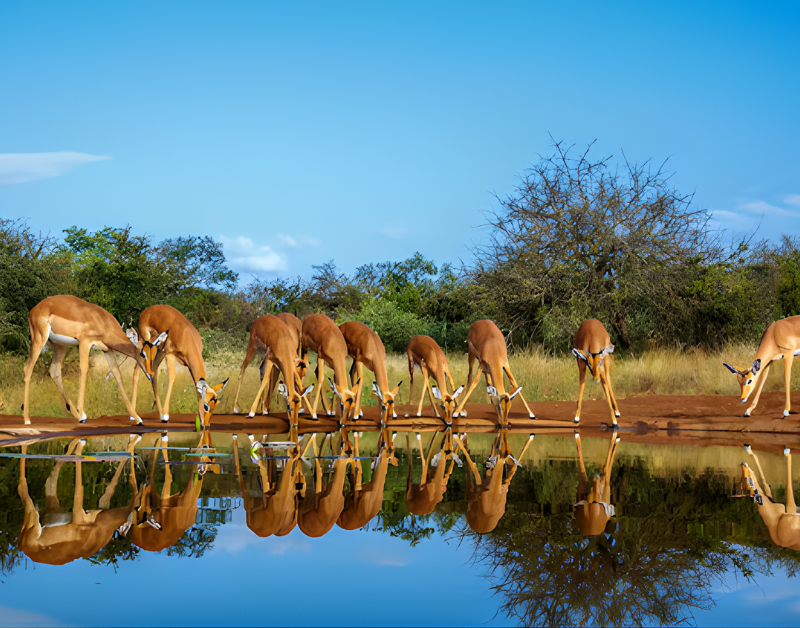 Serengeti National Park