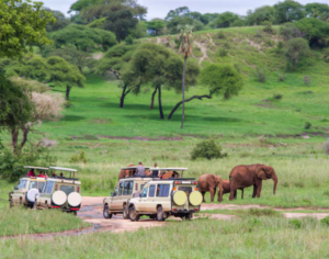 Tanzania Tour Packages