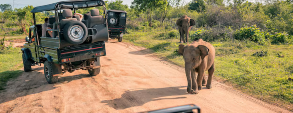 Tanzania Tour Packages