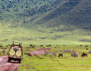Tanzania Tour Packages