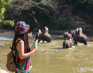 Tanzania Tour Packages for 2026