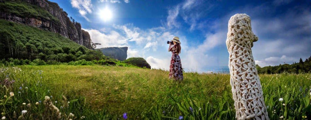 Tanzania Tour Packages for 2026