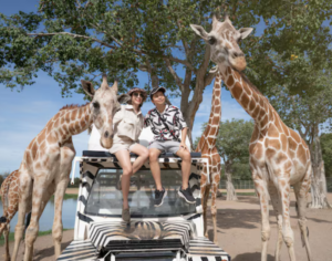 Tanzania vacation packages all inclusive 2026